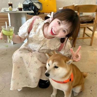 家有猩猩宝贝